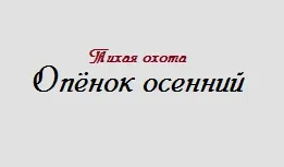 Блискавка б'є в дерево - вибір не випадковий! Свій будиночок в селі