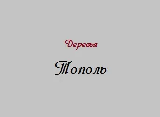 Блискавка б'є в дерево - вибір не випадковий! Свій будиночок в селі
