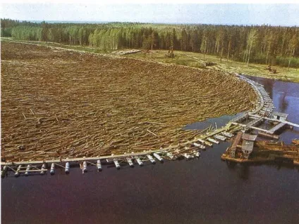 Молевой сплав лісу