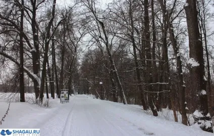 музей в