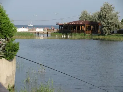 Чи може річка не впадати в море, а випливати з нього (море) Чи може річка не впадати в море, а випливати з нього