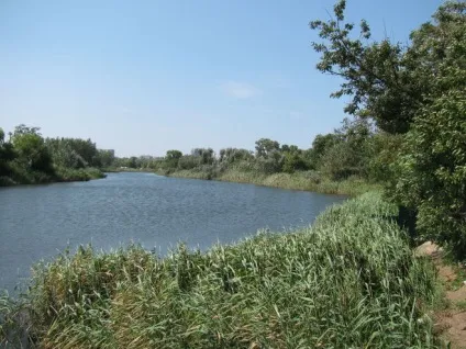 Чи може річка не впадати в море, а випливати з нього (може) Чи може річка не впадати в море, а випливати з нього