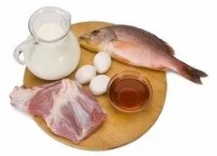Наскільки важливий в продуктах білок для схуднення