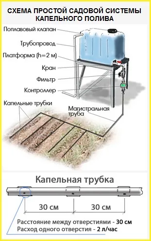 На яку висоту треба підняти ємність 2000-і літрів, щоб організувати полив (треба) На яку висоту треба підняти ємність 2000-і літрів, щоб організувати полив