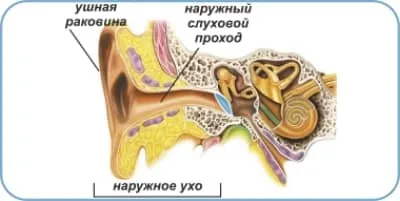 Зовнішній отит у дорослих і дітей (отит) Зовнішній отит у дорослих і дітей