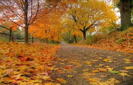 Народний календар на жовтень місяць