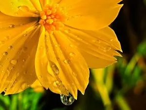 Трохи про воду, іонізатор води жива вода, лужна вода для здоров'я (життєдіяльності організму людини) Трохи про воду, іонізатор води жива вода, лужна вода для здоров'я