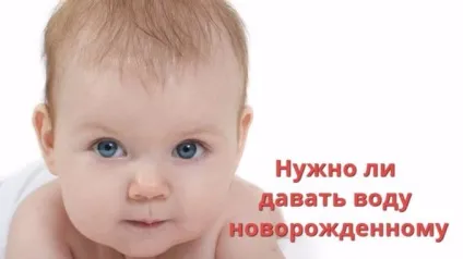 Чи потрібно новонародженому давати пити воду, стильна мама (чи потрібно новонародженому давати пити воду) Чи потрібно новонародженому давати пити воду, стильна мама