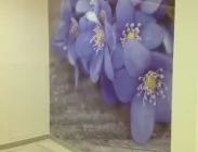 Облицювання стін склом, мосстек (склом) Облицювання стін склом, мосстек