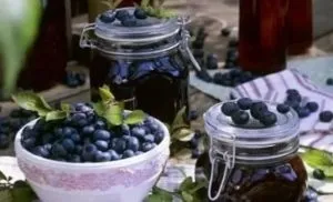 Масло обліпихи при атрофічному гастриті, а також допомогу з муміє, трави, шипшина, інші (народні засоби при атрофічному гастриті) Масло обліпихи при атрофічному гастриті, а також допомогу з муміє, трави, шипшина, інші