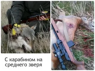 Огляд і характеристики найбільш затребуваних вітчизняними мисливцями карабінів з відео топ-3 (1498 році полегшений укорочений) Огляд і характеристики найбільш затребуваних вітчизняними мисливцями карабінів з відео топ-3