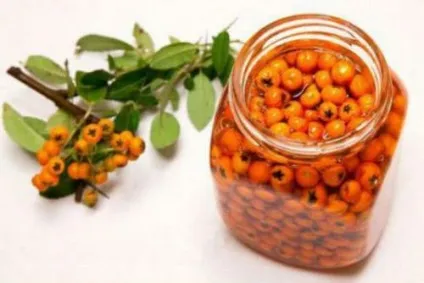 Масло обліпихи при гастриті, лікування, при ерозивно і атрофічному гастриті з підвищеною (лікування) Масло обліпихи при гастриті, лікування, при ерозивно і атрофічному гастриті з підвищеною