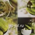 Огірки по-болгарськи, готуємо смачно (огірки) Огірки по-болгарськи, готуємо смачно