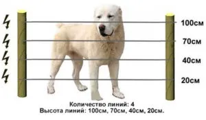 Огорожа для собак
