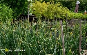 Город для початківців дачників