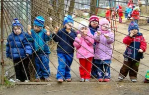 Черга в дитячий сад як встати, дізнатися і перевірити місце в електронній черзі в 2017 році (дитячий) Черга в дитячий сад як встати, дізнатися і перевірити місце в електронній черзі в 2017 році