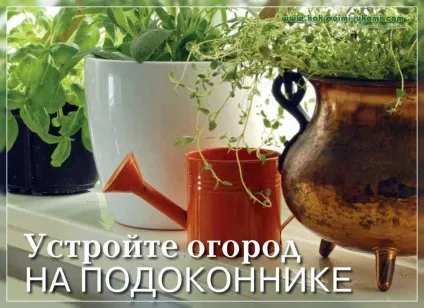 Город на підвіконні своїми руками, своїми руками - як зробити самому (дача сад і город) Город на підвіконні своїми руками, своїми руками - як зробити самому