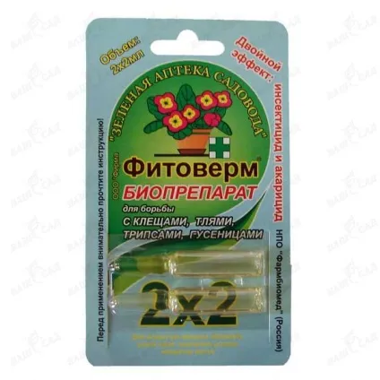 Опадають квіти у перцю - що робити і які можливі причини (робити) Опадають квіти у перцю - що робити і які можливі причини