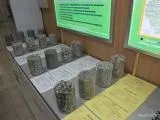 Особливості перевезення щебеню, ооо гірничо-видобувна компанія (особливості перевезення щебеню) Особливості перевезення щебеню, ооо гірничо-видобувна компанія