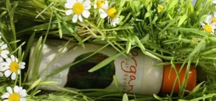 Органічна фарба для волосся достоїнства і недоліки