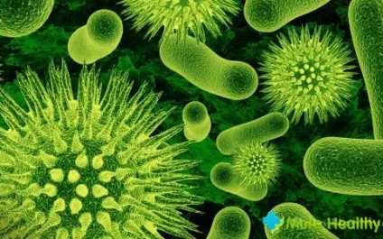 Особливості синьогнійної інфекції та методи її лікування (лікування і профілактика) Особливості синьогнійної інфекції та методи її лікування