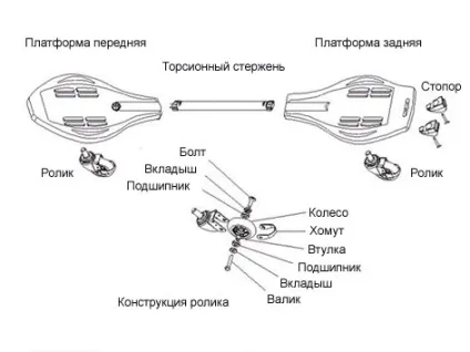 Основні відмінності лонгборд