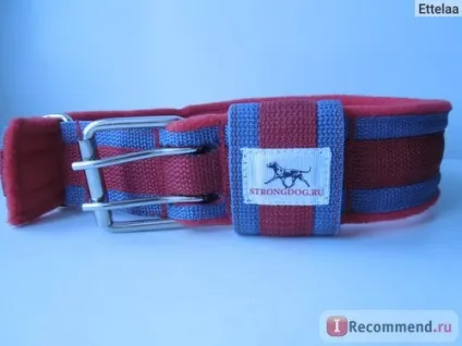 Нашийник strongdog - «практичний і симпатичний аксесуар для вашого улюбленця (strongdog) Нашийник strongdog - «практичний і симпатичний аксесуар для вашого улюбленця