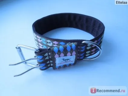 Нашийник strongdog - «практичний і симпатичний аксесуар для вашого улюбленця (strongdog) Нашийник strongdog - «практичний і симпатичний аксесуар для вашого улюбленця