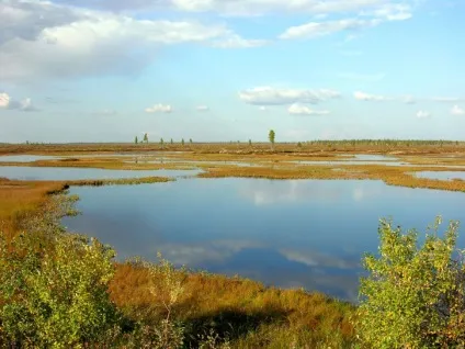 Опис західно сибірської рівнини - західна сибір, мої будні (рівнини) Опис західно сибірської рівнини - західна сибір, мої будні