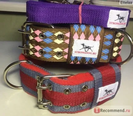 Нашийник strongdog - «практичний і симпатичний аксесуар для вашого улюбленця (аксесуар) Нашийник strongdog - «практичний і симпатичний аксесуар для вашого улюбленця