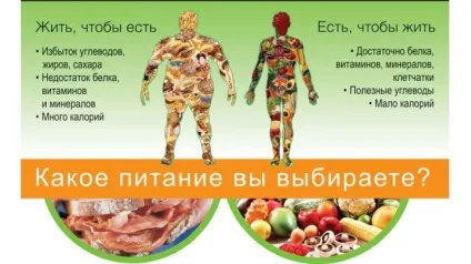 Правильне харчування з чого почати і як худнути в домашніх умовах (чого) Правильне харчування з чого почати і як худнути в домашніх умовах