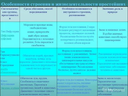 Презентація на тему перевірка домашнього завдання охарактеризуйте риси будови найпростіших (перевірка) Презентація на тему перевірка домашнього завдання охарактеризуйте риси будови найпростіших