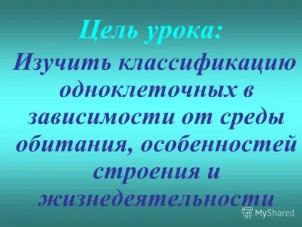 Презентація на тему перевірка домашнього завдання охарактеризуйте риси будови найпростіших (що план будови тіла одноклітинних відповідає загальним рисам організації.) Презентація на тему перевірка домашнього завдання охарактеризуйте риси будови найпростіших