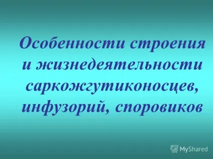 Презентація на тему перевірка домашнього завдання охарактеризуйте риси будови найпростіших (презентація) Презентація на тему перевірка домашнього завдання охарактеризуйте риси будови найпростіших