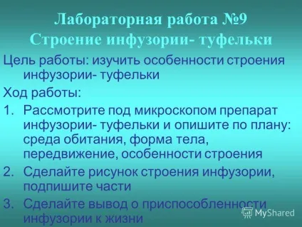 Презентація на тему перевірка домашнього завдання охарактеризуйте риси будови найпростіших (перевірка) Презентація на тему перевірка домашнього завдання охарактеризуйте риси будови найпростіших