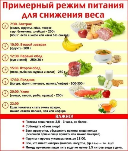Правильне харчування для схуднення відгуки (схуднення) Правильне харчування для схуднення відгуки