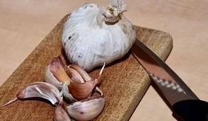 Любить чи ні короп часник