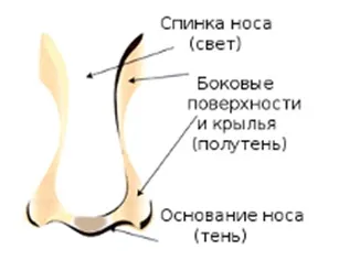 Макіяж для довгого носа (довгого) Макіяж для довгого носа