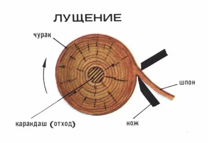 Лущений шпон - виробництво, властивості, гост, застосування і призначення (виробництво) Лущений шпон - виробництво, властивості, гост, застосування і призначення