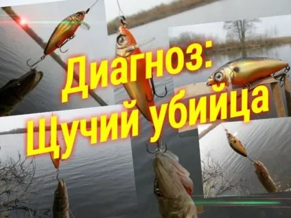 Кращий воблер на щуку навесні, влітку і восени, рейтинг (навесні) Кращий воблер на щуку навесні, влітку і восени, рейтинг