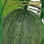 Мандурия огурдиня, садовий портал, новини саду, городу