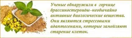 Маски з гірчиці для особи - 15 натуральних масок (гірчиці) Маски з гірчиці для особи - 15 натуральних масок