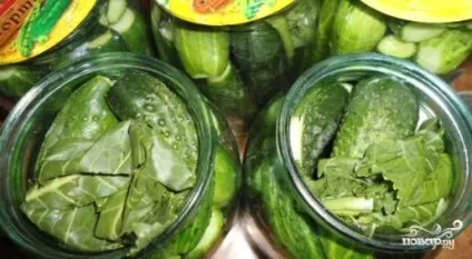 Мариновані огірки без оцту - покроковий рецепт з фото на