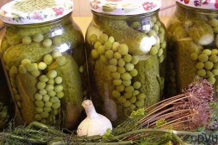 Мариновані огірки з зеленим горошком, мої улюблені рецепти (мариновані огірки зеленим) Мариновані огірки з зеленим горошком, мої улюблені рецепти