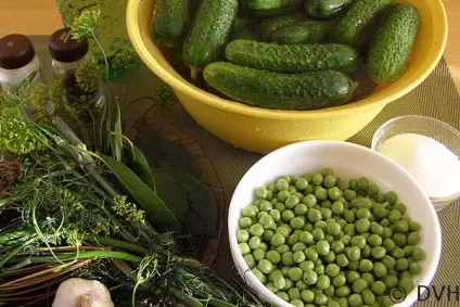 Мариновані огірки з зеленим горошком, мої улюблені рецепти (мариновані огірки зеленим) Мариновані огірки з зеленим горошком, мої улюблені рецепти