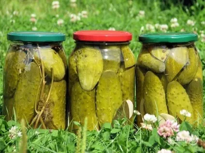 Мариновані огірки без оцту - покроковий рецепт з фото на