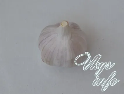 Мариновані дрібні помідори на зиму, рецепт з фото (дрібні помідори) Мариновані дрібні помідори на зиму, рецепт з фото