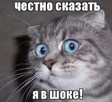 Mblauncher що це за програма і чи потрібна вона () (виходить є Менеджер) Mblauncher що це за програма і чи потрібна вона ()