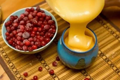 Мед при бронхіті який корисний для дитини і рецепти з алое (корисний) Мед при бронхіті який корисний для дитини і рецепти з алое