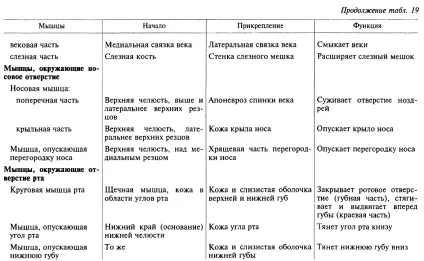 Мімічні м'язи 1